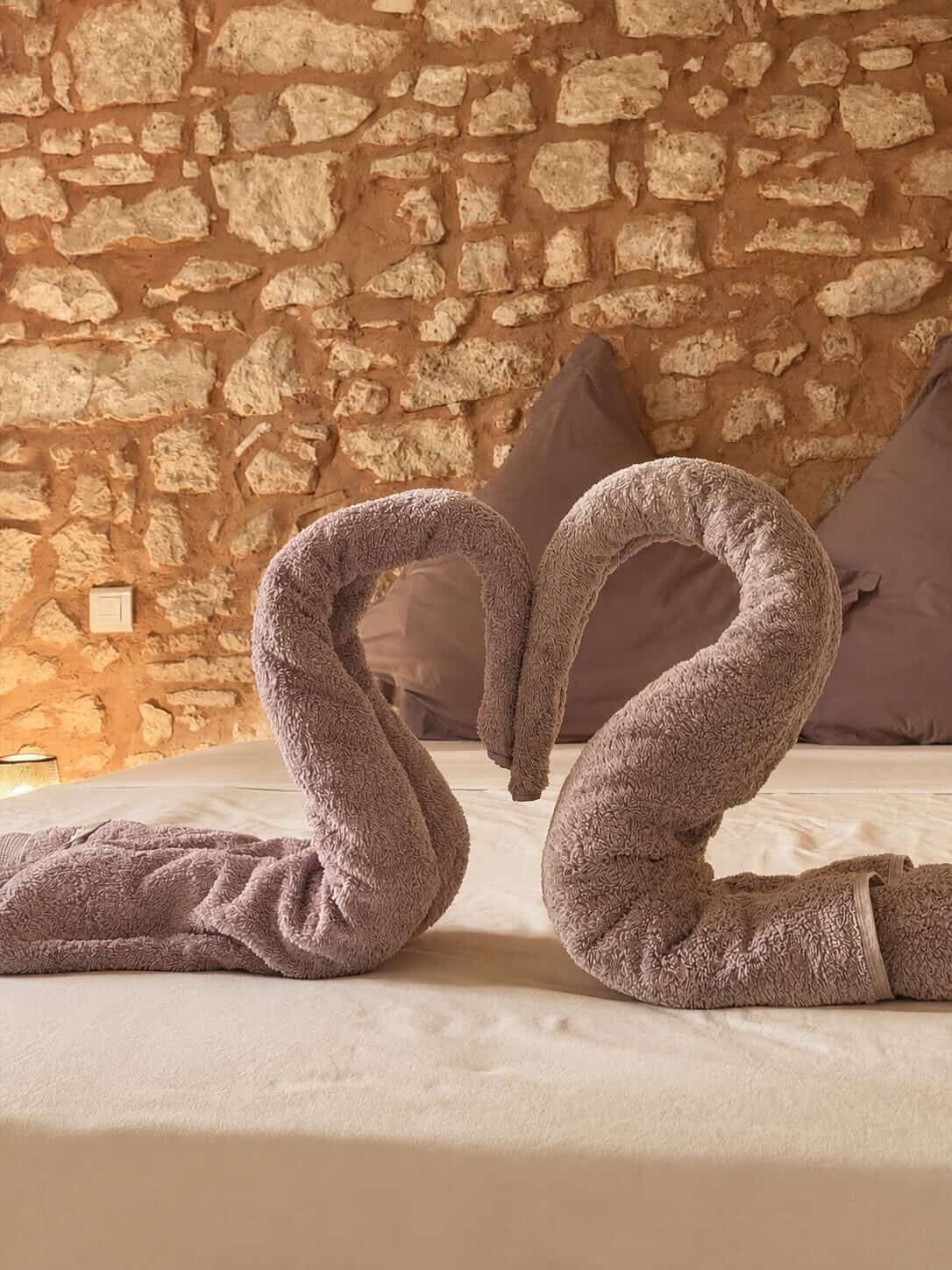 Chambre Cygnes